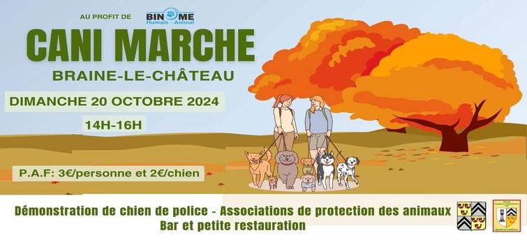 Image de l'article