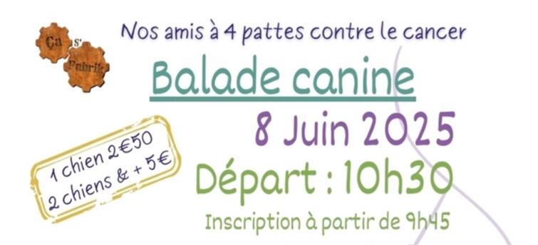 Image de l'article