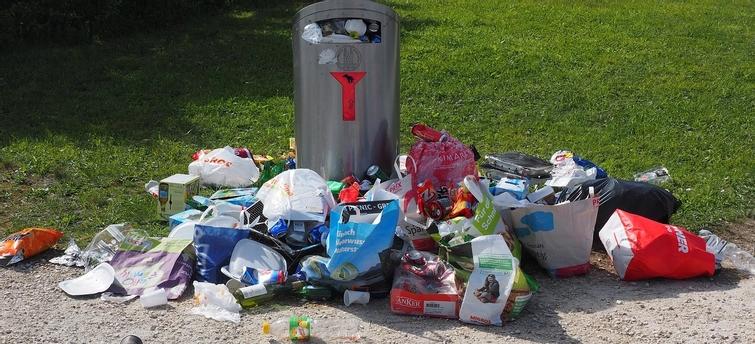 Image de l'article