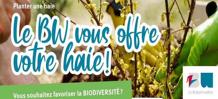 Image de l'article
